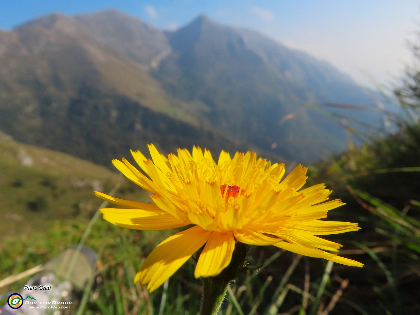 70 Omaggio floreale per le cime di oggi Foppazzi e Grem.JPG